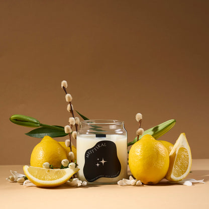 Fall in love | Zesty Ginger & Lemon 9oz